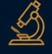 Approach Icon